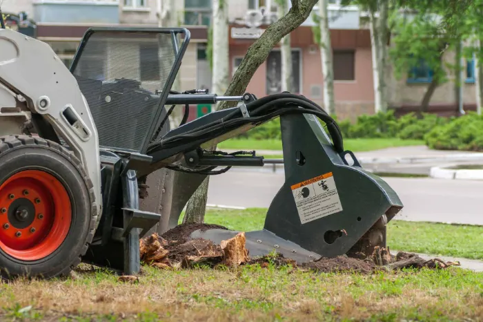 How Tree Stump Removal Improves Lawn Health in Clayton, NC