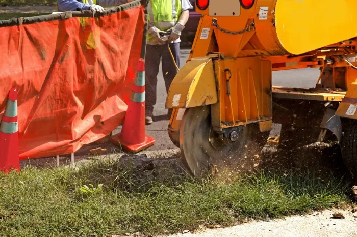 Trusted Stump Grinding in Clayton, NC